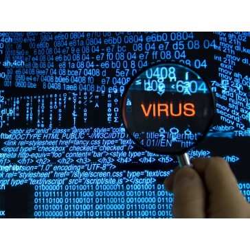 Virus Removal
